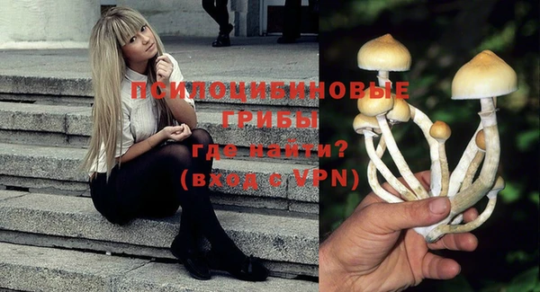 герыч Бронницы