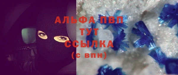 мяу мяу мука Аркадак