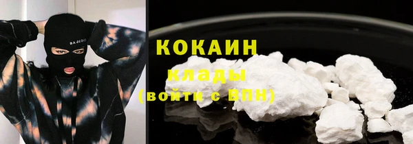 мяу мяу мука Аркадак