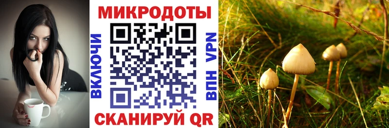 Псилоцибиновые грибы прущие грибы KRAKEN зеркало Струнино как найти наркотики
